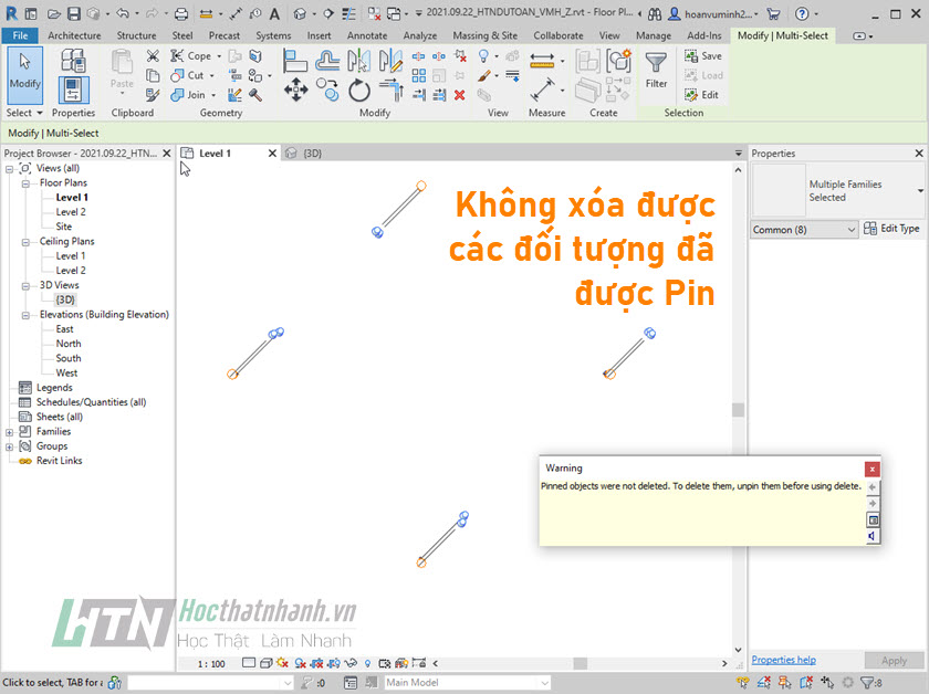 Không xóa được đối tượng đã PIN trong Revit