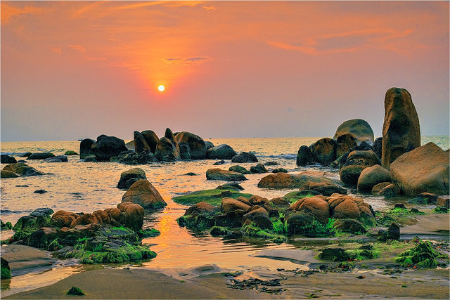 Cong-bo-gia-vat-lieu-xay-dung - Bình Thuận