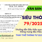 Thông tư 79/2025/TT-BTC về đấu thầu qua mạng thay thế Thông tư 22/2024/TT-BKHĐT